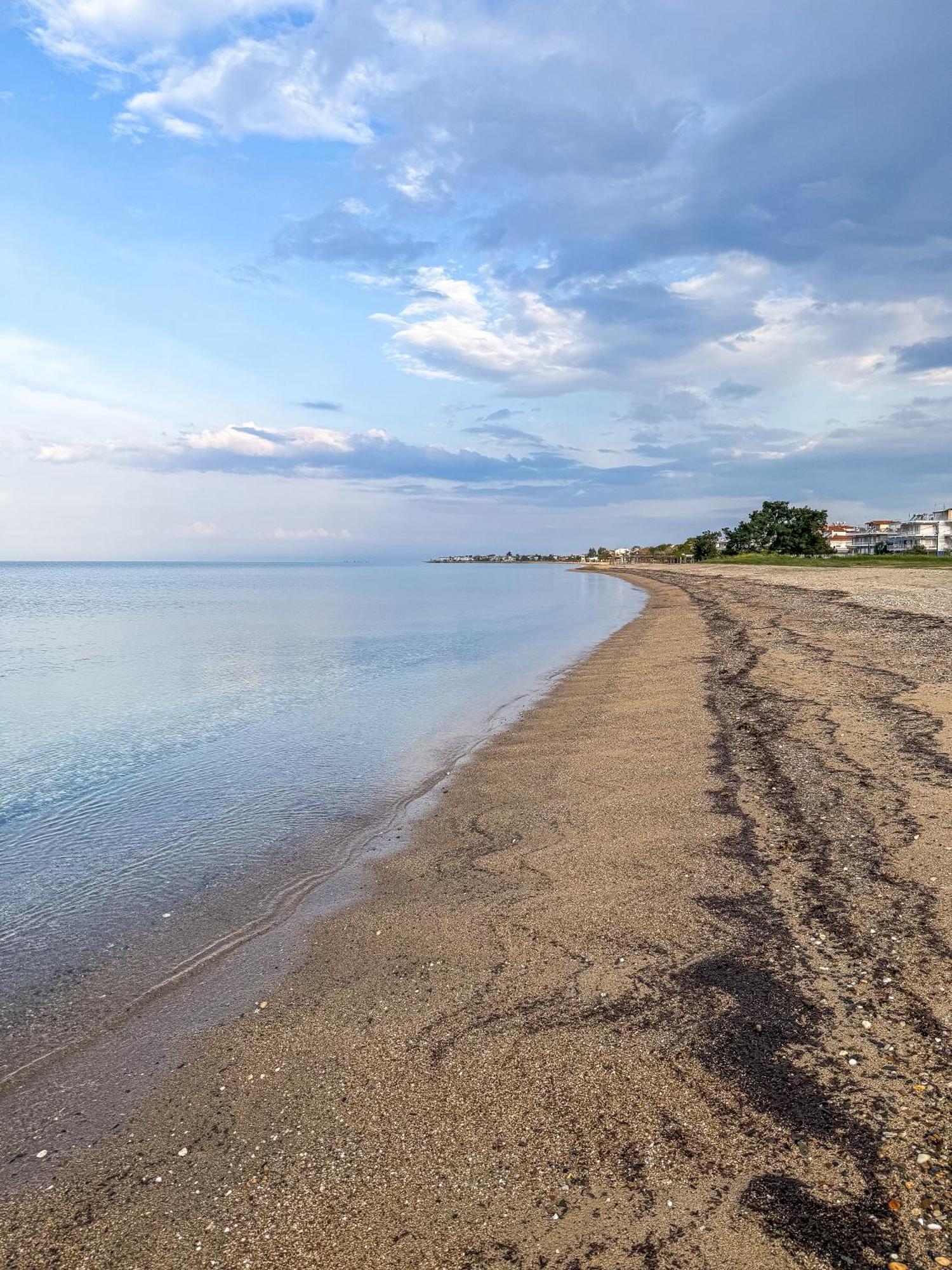 Nafsika Suites (Adults Only) Nea Moudania Dış mekan fotoğraf